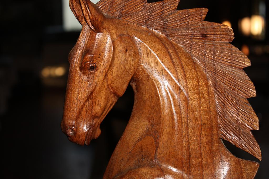 Logis Hotel Restaurant Le Flamant Rose Camargue Albaron Zewnętrze zdjęcie