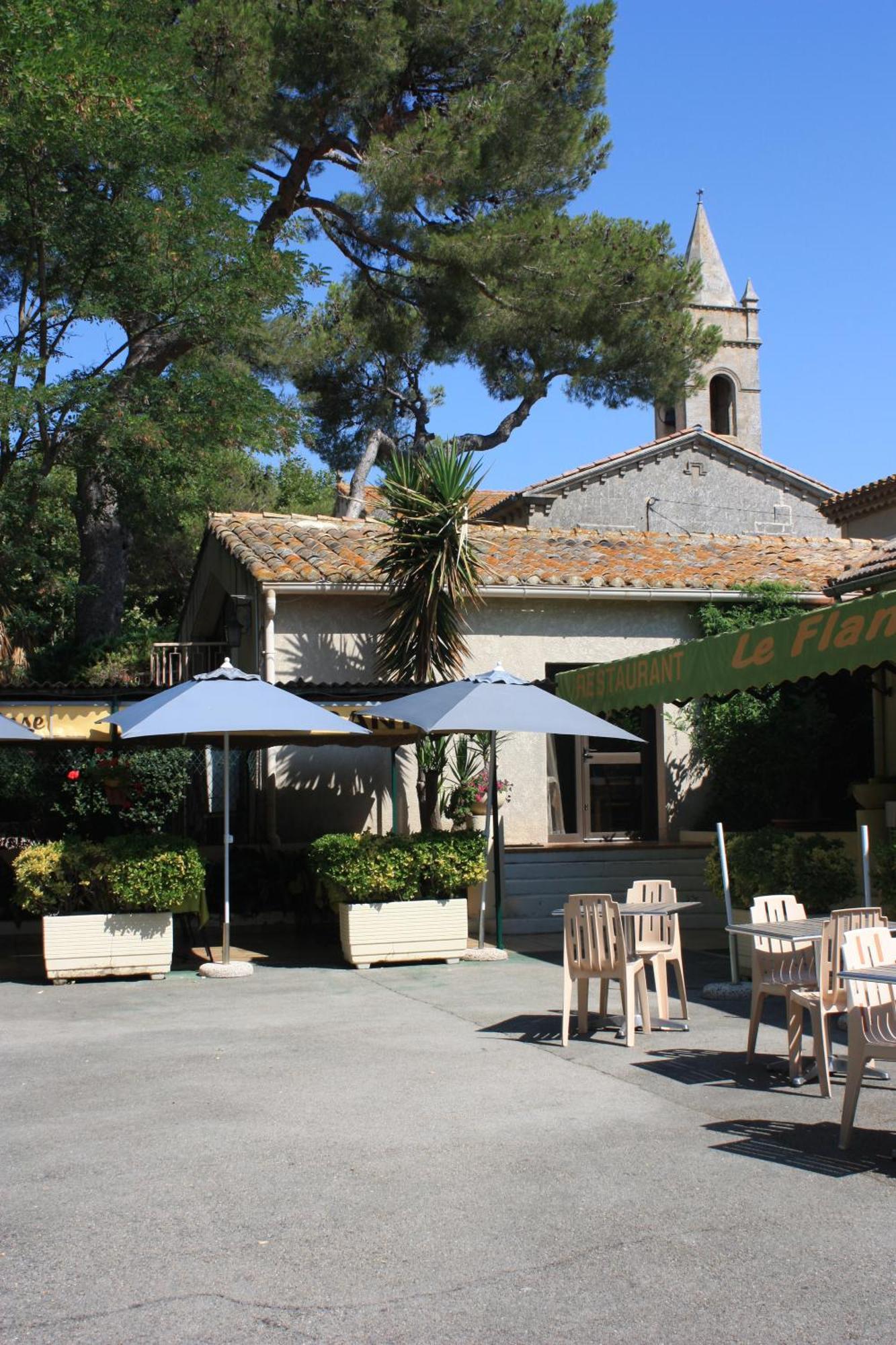 Logis Hotel Restaurant Le Flamant Rose Camargue Albaron Zewnętrze zdjęcie
